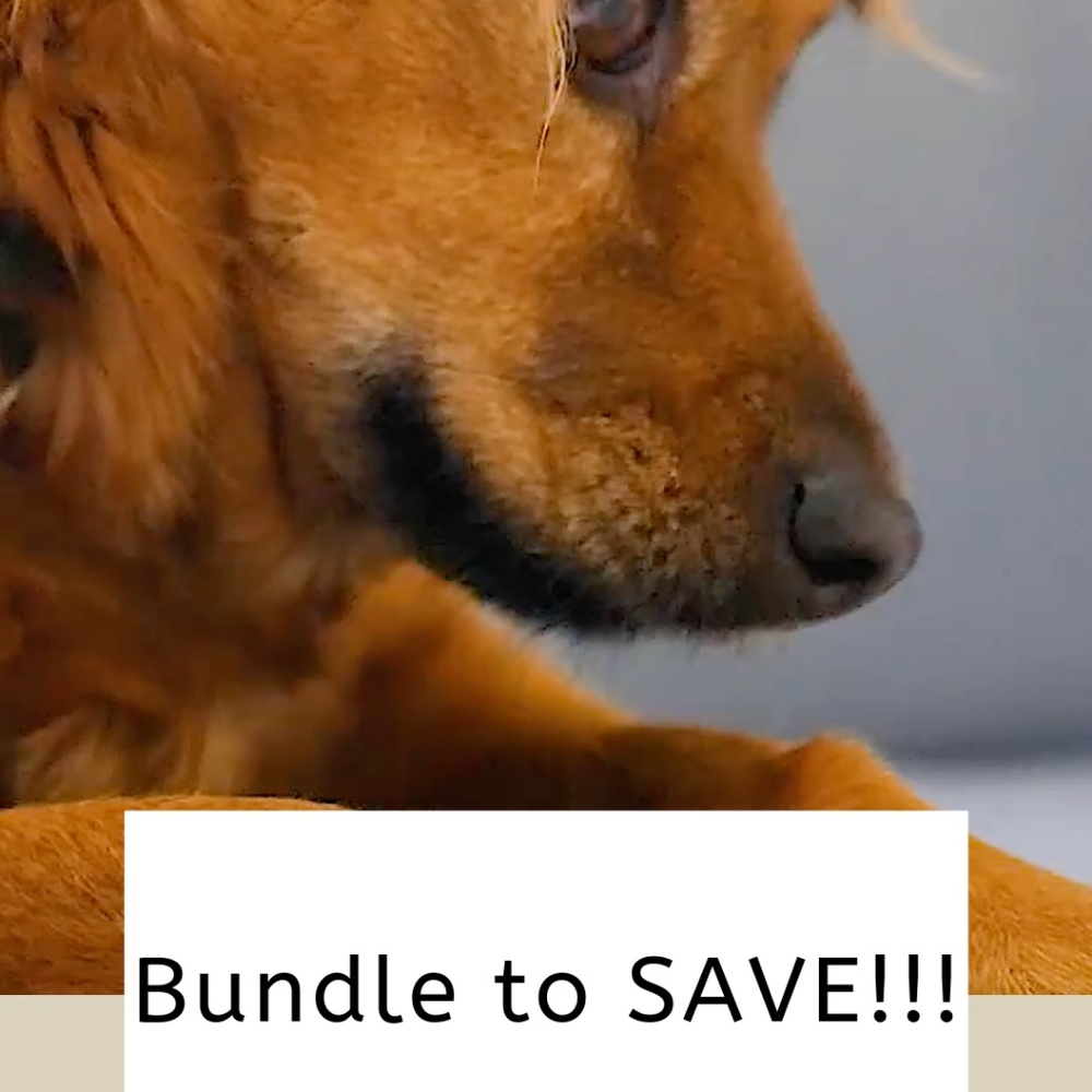 Bundle to SAVE! B1G1 for 50-75%off! Read below!